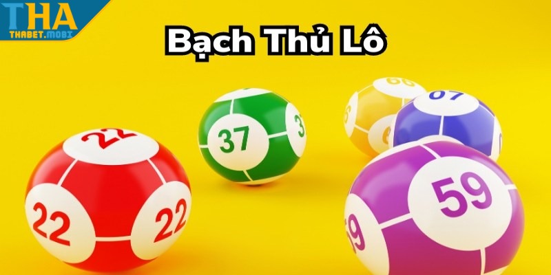 bach thu lo gioi thieu