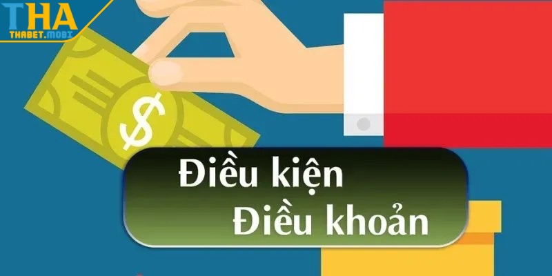 dieu khoan dieu kien anh dai dien