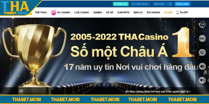 thabet giao dien
